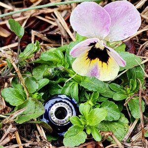 Retired Silver Starry Night Midnight Blue Murano Glass Charm w/Clear Zirconia